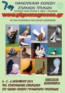 ΠΑΝΕΛΛΗΝΙΑ ΕΚΘΕΣΗ ΣΠΑΝΙΩΝ ΠΤΗΝΩΝ Νοέμβρη 2011 Ορεστιάδα