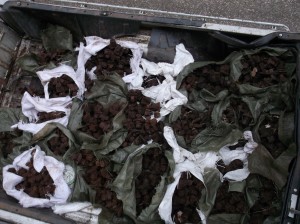 ληστεία ΟΣΕ