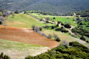 Στo βάθος φαίνεται η περιοχή απόθεσης των τοξικών λυμάτων η οποία προβλέπεται να είναι 4-5 φορές μεγαλύτερη αυτής της Ολυμπιάδας Χαλικδικής