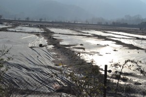 Το σημερινό τέλμα - νεκρή ζώνη τοξικών αποβλήτων απο την επεξεργασία μεικτού θειούχου μεταλλεύματος στη περιοχή Ολυμπιάδα της Χαλκιδικής