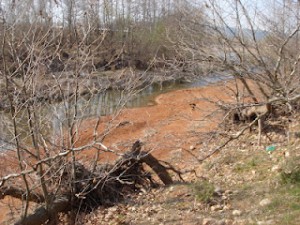 Πλατανότοπος Μαΐστρου