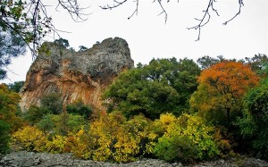 dadia-landscapes-077