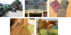 Πανέβρια Αγροτική Έκθεση Φερών