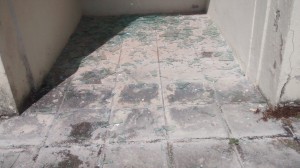 IMG_20140721_105901009