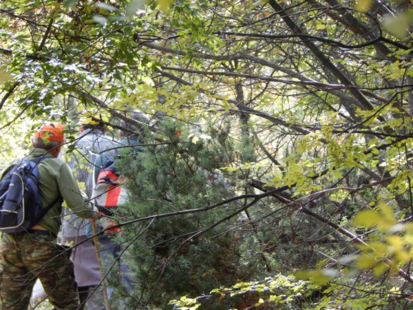 Περίπατος στην Μπάρα 10