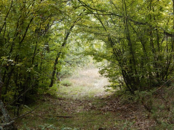 Περίπατος στην Μπάρα 9