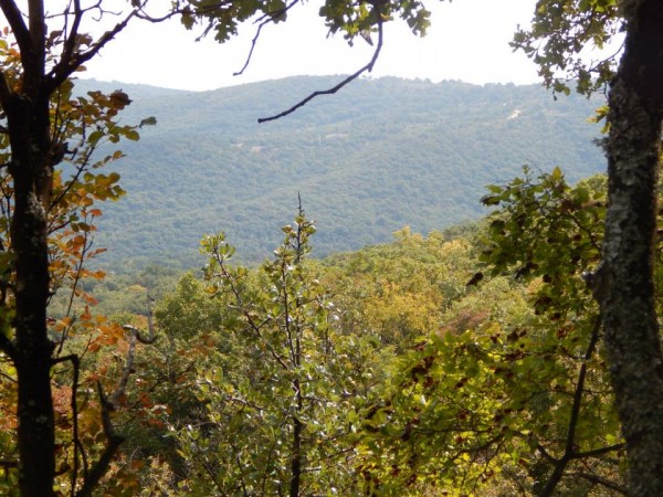 Περίπατος στην Μπάρα 5