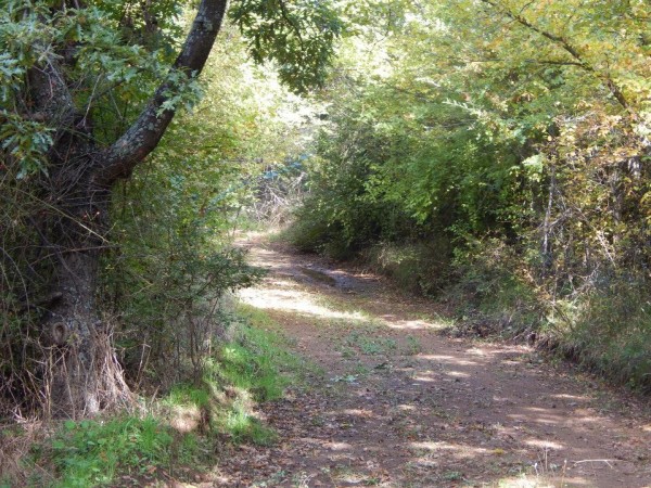 Περίπατος στην Μπάρα 2