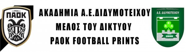 Ακαδημία Α.Ε.Δ -Π.Α.Ο.Κ.