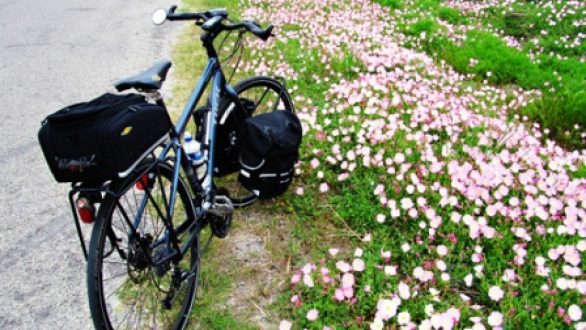 Ανοιξιάτικες ποδηλατικές εξορμήσεις