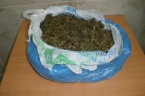 …μια νάιλον σακούλα γεμάτη κάνναβη