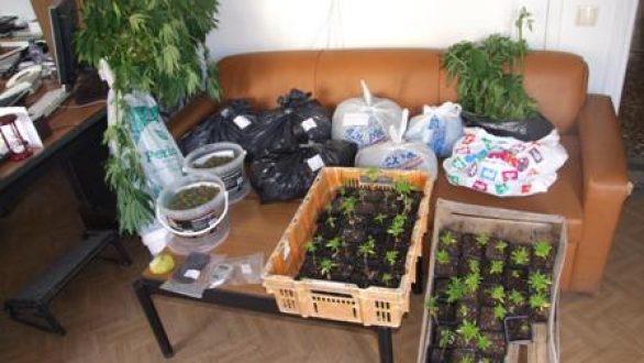 102 δενδρύλλια κάνναβης κατασχέθηκαν στην Αλεξανδρούπολη