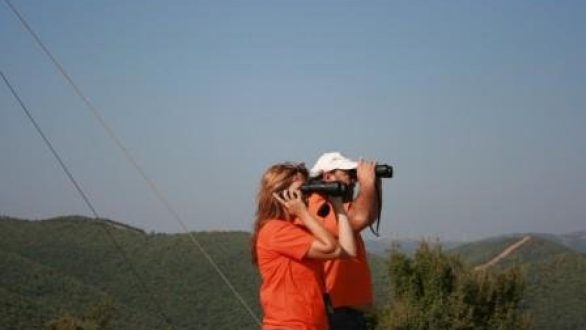 Προστατέψτε τα δάση μας!