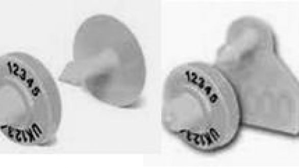 Εγκύκλιος για ηλεκτρονική σήμανση των αιγοπροβάτων