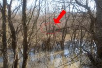 Επιχείρηση διάσωσης έντεκα μη νόμιμων μεταναστών, που είχαν εγκλωβιστεί σε νησίδα του ποταμού Έβρου