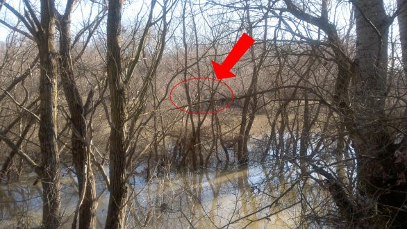 Επιχείρηση διάσωσης έντεκα μη νόμιμων μεταναστών, που είχαν εγκλωβιστεί σε νησίδα του ποταμού Έβρου