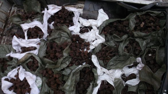 Συνελήφθη ύστερα από κινηματογραφική καταδίωξη 18χρονος που έκλεβε μεταλλικούς συνδετήρες σιδηροδρομικών γραμμών