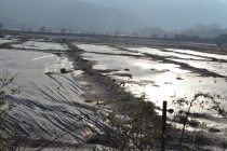 Ανοιχτή Συνέλευση Αλεξ/πολης: Δεν θα παραδοθεί το Πέραμα στα νύχια των χρυσοθήρων