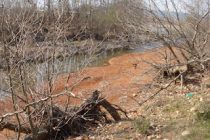 Εθελοντικός Καθαρισμός στον Πλατανότοπο Μαΐστρου