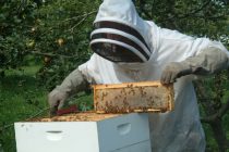 Συγκέντρωση μελισσοκόμων στο Σουφλί για την αποτίμηση ζημιών από την πυρκαγιά