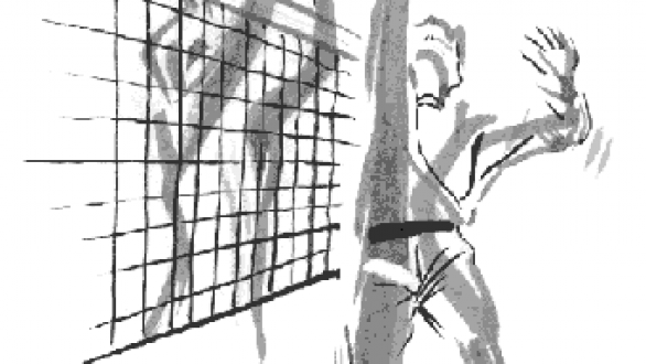 ΔΙΟΡΓΑΝΩΣΗ ΣΧΟΛΙΚΩΝ ΑΓΩΝΩΝ ΠΕΤΟΣΦΑΙΡΙΣΗΣ «ΗΜΕΡΑ ΒΟΛΕΪ»