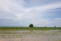 Υποβολή αιτήσεων για ζημιές από πλημμύρα