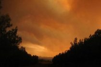 Λήψη έκτακτων μέτρων αντιμετώπισης πυρκαγιών σε Σαμοθράκη και Αλεξανδρούπολη