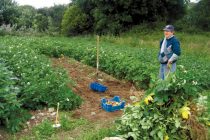 Πληρωμή Βιολογικής Γεωργίας έτους 2011