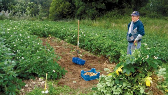 Πληρωμή Βιολογικής Γεωργίας έτους 2011