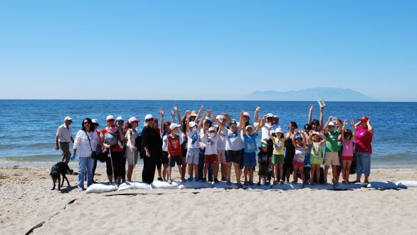 Εθελοντικός καθαρισμός ακτών