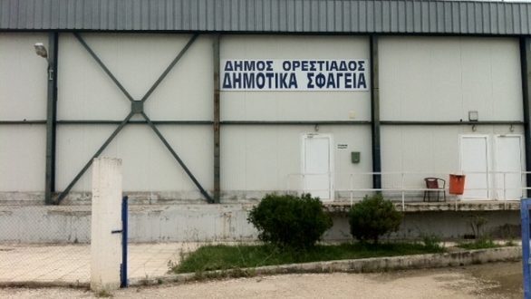 Λεφτά για να μορφωθούν … τα μοσχαράκια προτού καταλήξουν στο πιάτο μας