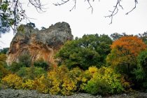 Περίπατος στο μαγευτικό δάσος της Δαδιάς
