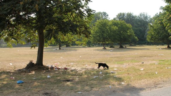 Τα σκουπίδια ακόμη κατασκηνώνουν… στον Άρδα