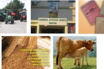 Πανέβρια Αγροτική Έκθεση Φερών 11-14 Σεπτεμβρίου : Διαγωνισμός για την ανάδειξη του καλύτερου κριαριού και τράγου της περιοχής