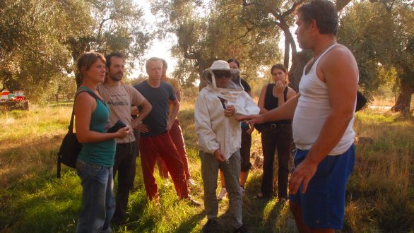 Έρευνα από Ευρωπαίους φοιτητές για τους κατοίκους της Σαμοθράκης