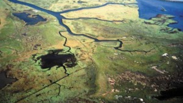 Η αναδιάρθωση του συστήματος των Φορέων Διαχείρισης Προστατευόμενων Περιοχών είναι στην σωστή κατεύθυνση