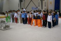 Σημαντικές διακρίσεις για τους μικρούς αθλητές του Α.Ο.Ε.Γ.Α. στο 9ο διεθνές τουρνουά ενόργανης γυμναστικής