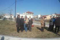 Δεντροφύτευση του περιβάλλοντα χώρου του δικαστικού μεγάρου με πρωτοβουλία του Δικηγορικού Συλλόγου Ορεστιάδας