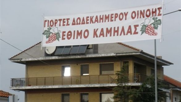 «Έθιμο της καμήλας 2012» στην Οινόη Ορεστιάδας