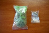 Συνελήφθη 20χρονος στην Ορεστιάδα για ναρκωτικά και απείθεια