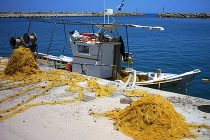 Πέντε νέες επαγγελματικές άδειες με αντικείμενο την πώληση προϊόντων γης, αλιείας και ιχθυοκαλλιέργειας για συμμετοχή στις Λαϊκές Αγορές της Π.Ε. Έβρου για το 2013