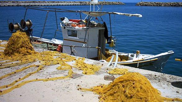 Πέντε νέες επαγγελματικές άδειες με αντικείμενο την πώληση προϊόντων γης, αλιείας και ιχθυοκαλλιέργειας για συμμετοχή στις Λαϊκές Αγορές της Π.Ε. Έβρου για το 2013