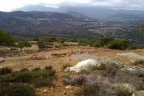 Καταγγελία  παράνομων εργασιών της “Χρυσωρυχεία Θράκης ΑΕ” στη δυτική πλευρά λόφου Περάματος Έβρου