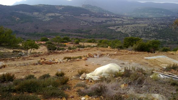 Καταγγελία  παράνομων εργασιών της “Χρυσωρυχεία Θράκης ΑΕ” στη δυτική πλευρά λόφου Περάματος Έβρου