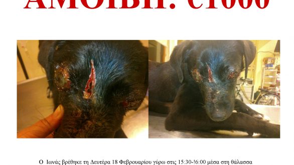 Επικήρυξη του δράστη της κακοποίησης του ‘Ιωνα στη Σαμοθράκη