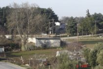 Κάτοικοι αντιδρούν στο κόψιμο δέντρων και ζητούν να σωθεί το δασάκι στο στρατόπεδο Γιαννούλη στην Αλεξανδρούπολη