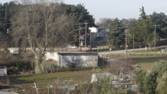 Κάτοικοι αντιδρούν στο κόψιμο δέντρων και ζητούν να σωθεί το δασάκι στο στρατόπεδο Γιαννούλη στην Αλεξανδρούπολη