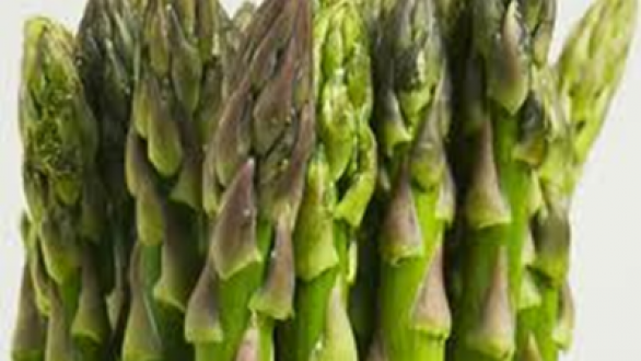 Σε απόγνωση οι παραγωγοί σπαραγγιού στον Έβρο