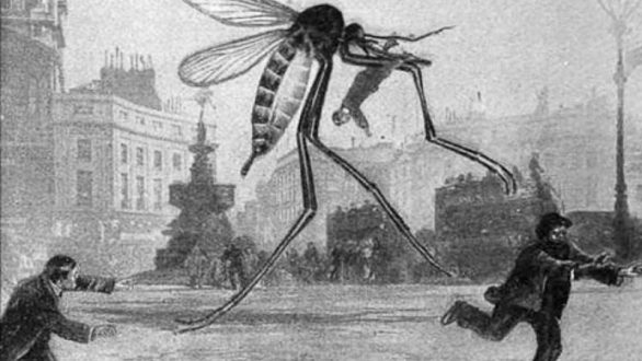 Περιφερειακή Αναγέννηση: Το Ελεγκτικό Συνέδριο έκρινε παράνομη τη σύμβαση καταπολέμησης κουνουπιών και για το 2013-2014!