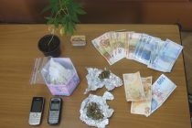 Σύλληψη δύο ατόμων στην Αλεξανδρούπολη για καλλιέργεια φυτών κάνναβης